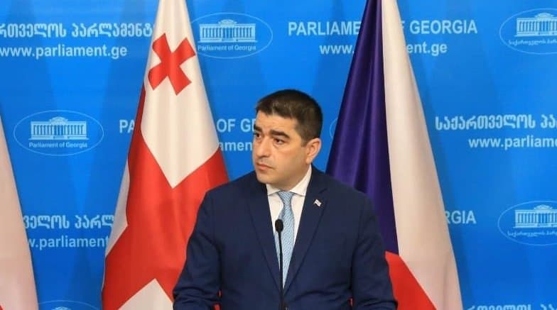 შალვა პაპუაშვილი – ევროინტეგრაციის გზაზე ჩვენთვის განსაკუთრებით ღირებული იქნება ჩეხეთის რესპუბლიკის გამოცდილების გაზიარება და მხარდაჭერა