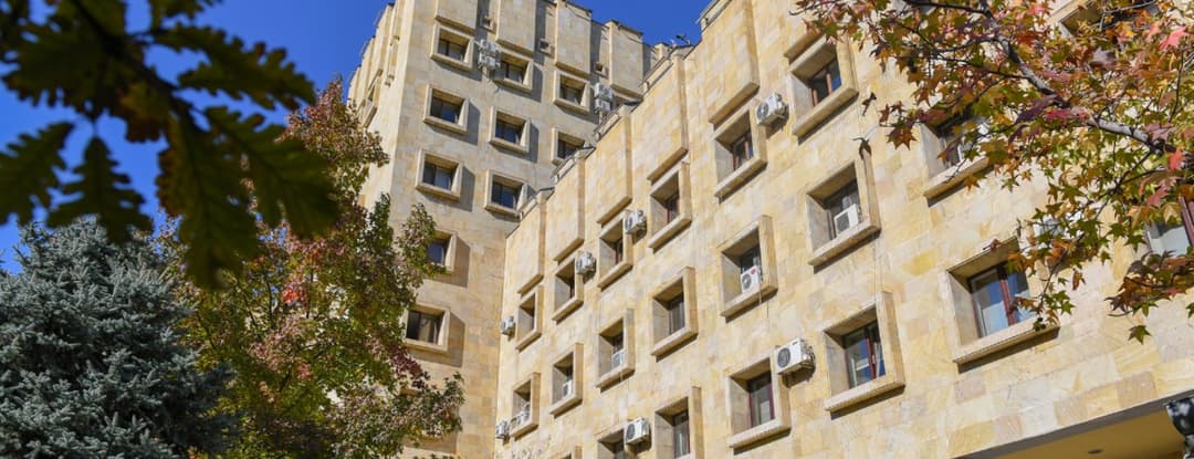 დიდი ოდენობით თანხების მითვისების ფაქტზე თსუ-ის ბუღალტერი დააკავეს