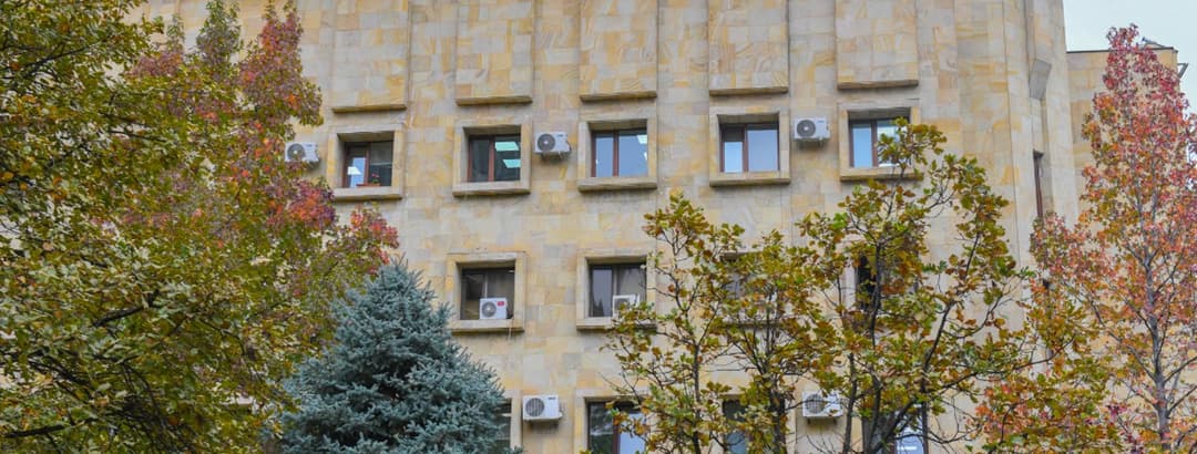 მეუღლის მკვლელობის მცდელობისთვის ბრალდებულს იძულებითი ფსიქიატრიული მკურნალობა განესაზღვრა