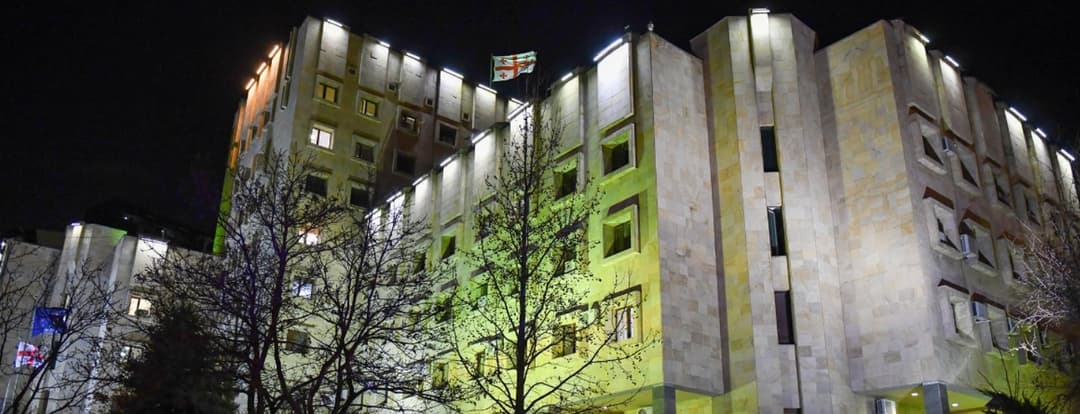 ძმის განზრახ მკვლელობაში ბრალდებულს თავისუფლების 13 წლით აღკვეთა მიესაჯა