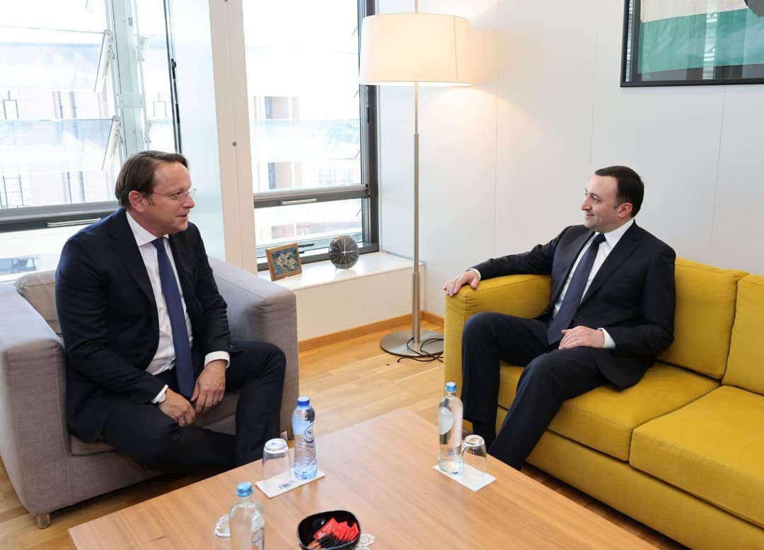 ირაკლი ღარიბაშვილი – ვიმედოვნებთ, წელს საქართველოს ევროკავშირის კანდიდატის სტატუსი მიენიჭება