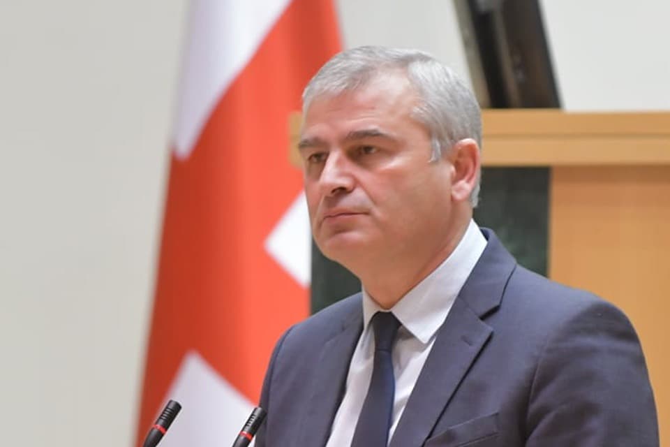 Georgian ruling party MP: Arestovich’s statements “provocative”