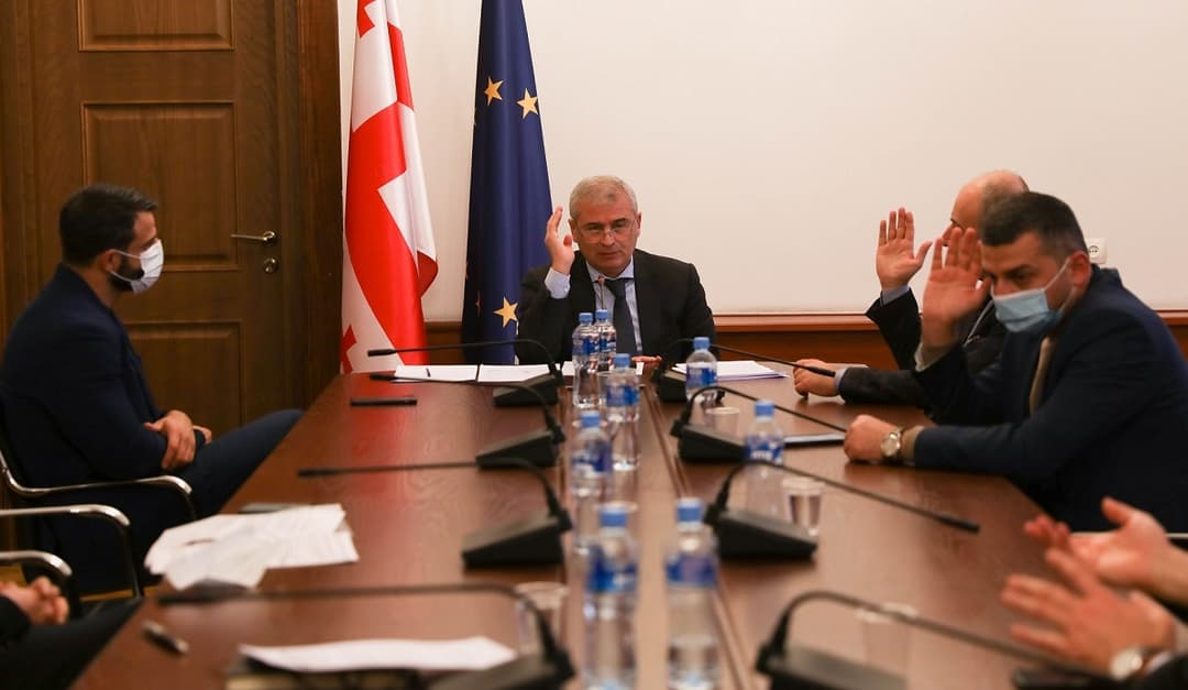 საპროცედურო საკითხთა კომიტეტმა ნინო ლაცაბიძისთვის პარლამენტის წევრის უფლებამოსილების შეწყვეტაზე იმსჯელა