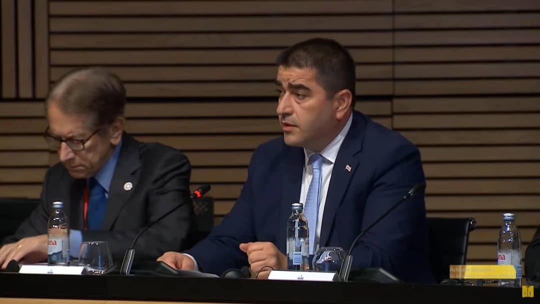 შალვა პაპუაშვილი – ჩვენ ვგმობთ რუსეთის თავდასხმას უკრაინაზე და მისი რეგიონების უკანონო ანექსიას