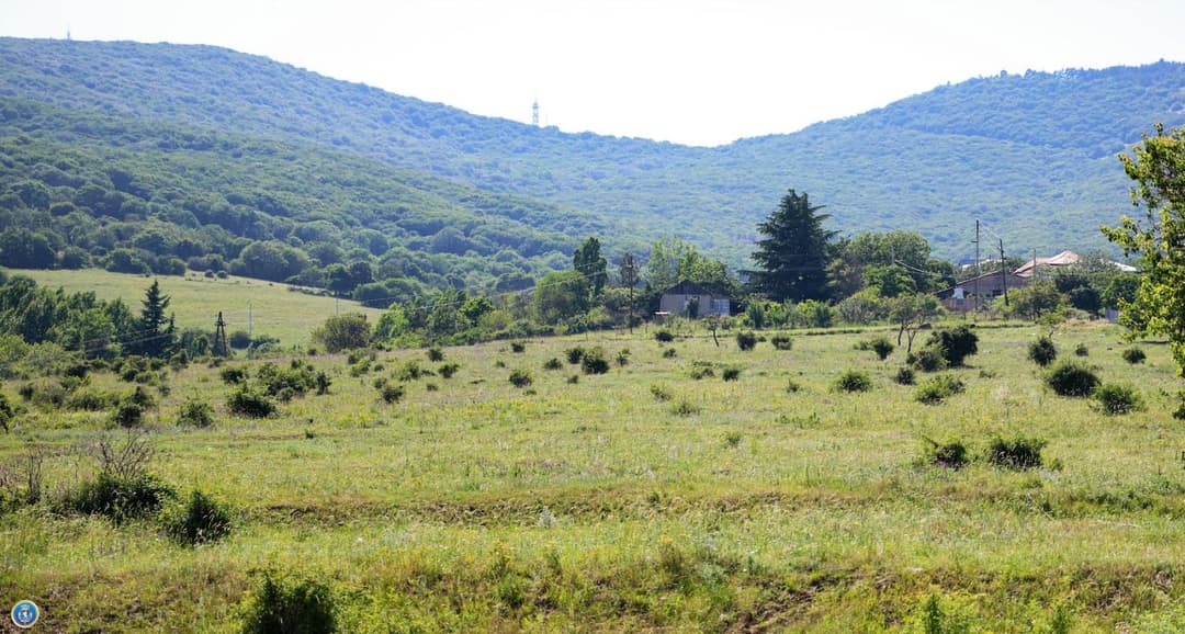 განსაკუთრებით დიდი ოდენობით ქონების მოტყუებით დაუფლების მცდელობის ფაქტზე სამი პირი დააკავეს