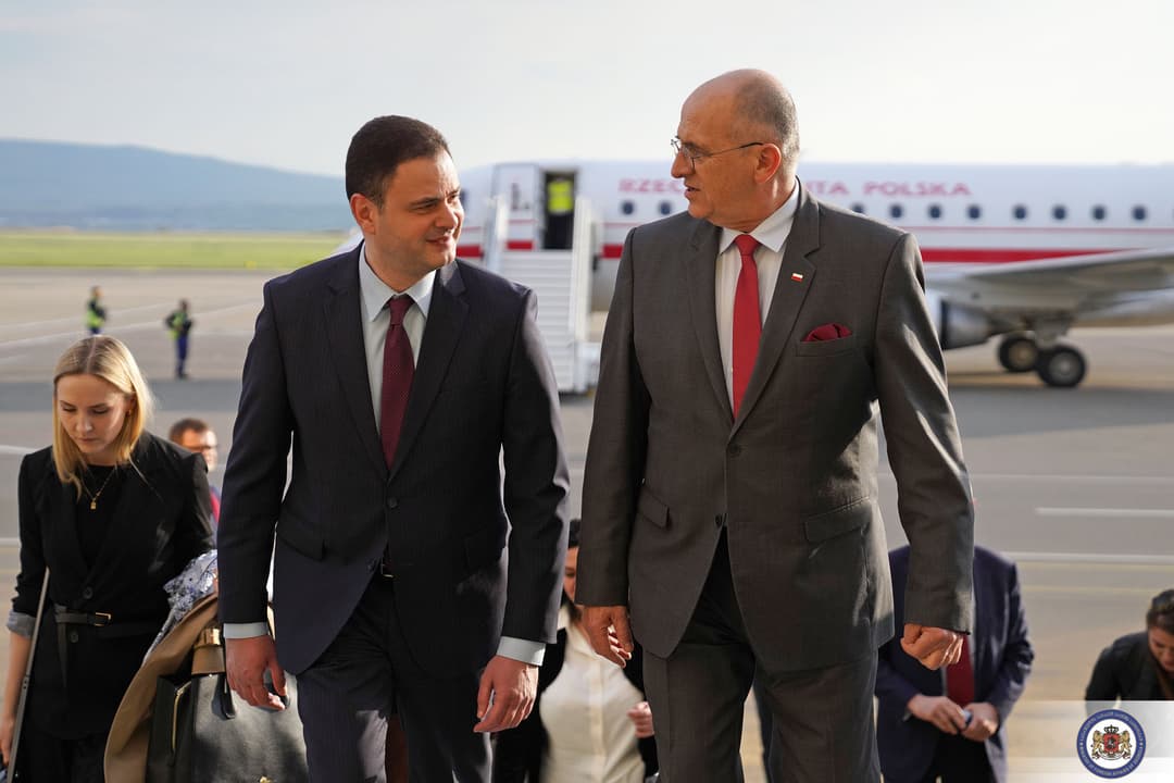 საქართველოს პოლონეთის საგარეო საქმეთა მინისტრი ეწვია