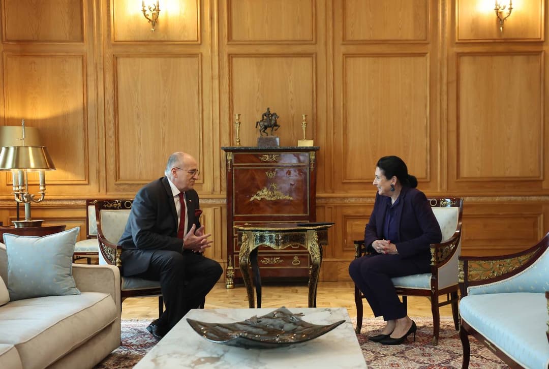 სალომე ზურაბიშვილი პოლონეთის საგარეო საქმეთა მინისტრს შეხვდა