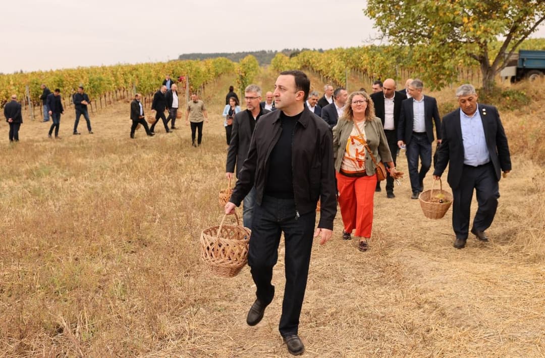 ირაკლი ღარიბაშვილმა დიპლომატიური კორპუსის წარმომადგენლებს რთველში უმასპინძლა