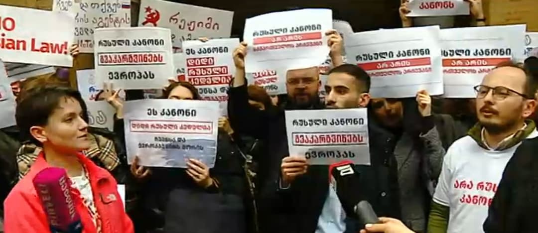 არასამთავრობო ორგანიზაციების წარმომადგენლები პარლამენტთან აქციას მართავენ