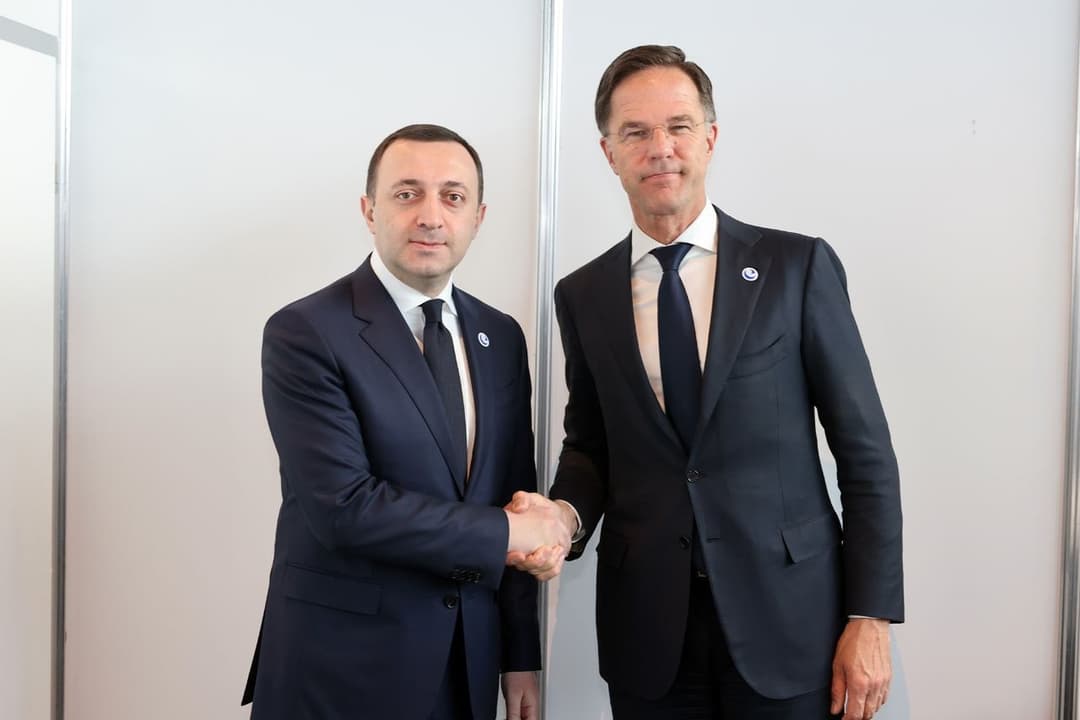 ირაკლი ღარიბაშვილი მარკ რუტეს შეხვდა