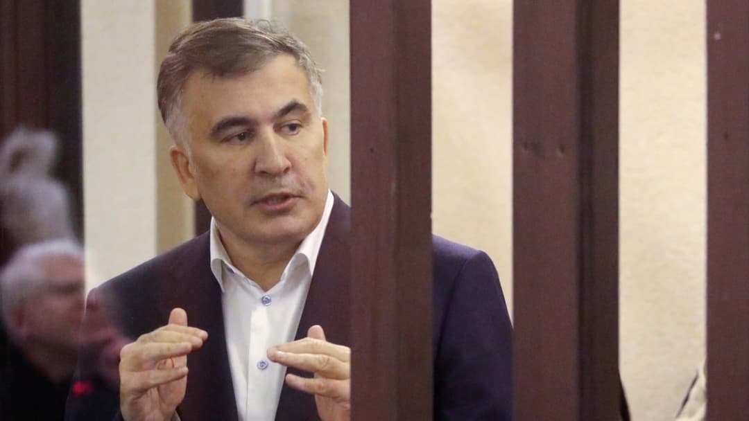 Saakashvili won’t be released if he really quits politics – ruling party MP