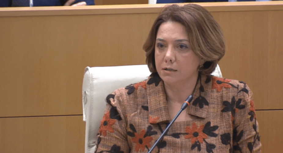 სალომე სამადაშვილი – ძალიან ნათელია, რომ ბიძინა ივანიშვილის ხელისუფლება გადის კონსტიტუციის ჩარჩოებიდან