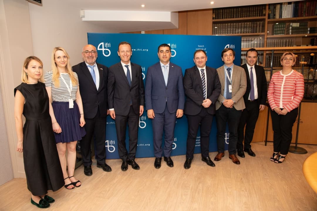 შალვა პაპუაშვილი სამეცნიერო-კვლევითი ინსტიტუტის IFRI-ის დირექტორს თომა გომარს შეხვდა