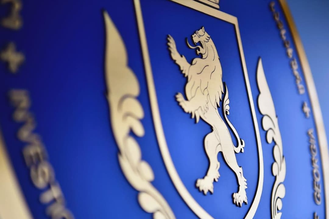 ყალბი ოფიციალური დოკუმენტების დამზადება გასაღების ფაქტზე ერთი პირი დააკავეს