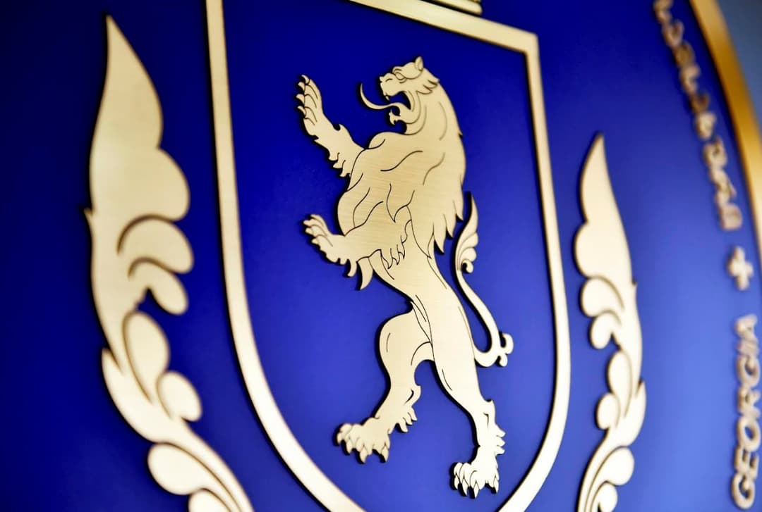 სახელმწიფო საკუთრებაში არსებული მიწის ნაკვეთების მოტყუებით დაუფლების ფაქტებზე ცხრა პირი პასუხისგებაში მისცეს