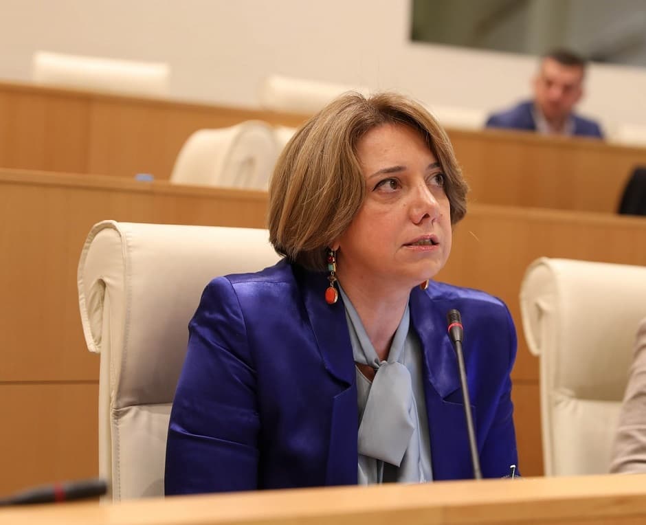 სალომე სამადაშვილი – თუ როგორ ფასდება ევროპაში „ქართული ოცნება“, ევროპარლამენტის საგარეო კომიტეტის მიერ დამტკიცებულ ანგარიშში წავიკითხეთ