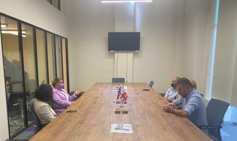 სალომე ღონღაძე – რაც მმართველი პარტია დავტოვე და გახარიას გუნდს შევუერთდი, მიმდინარეობს სრულიად უკანონოდ ადევნება, თვალთვალი, შანტაჟი, მუქარა