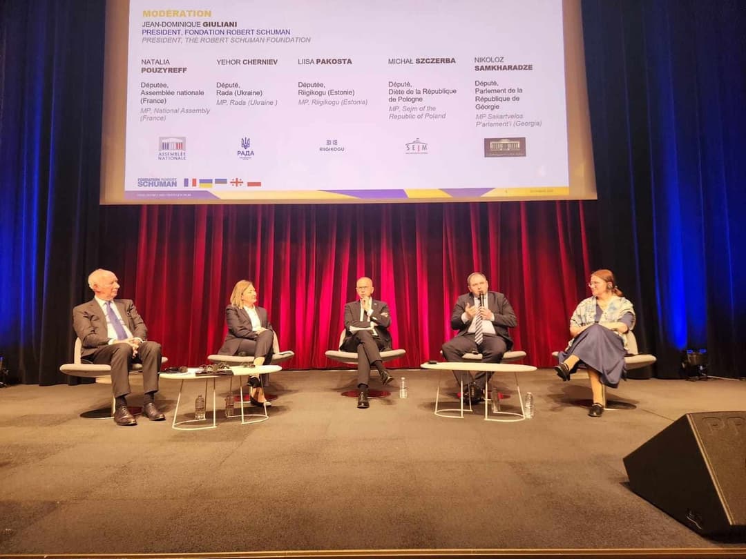 Georgian parliamentary official highlights importance of “strong Western leadership” in Paris forum