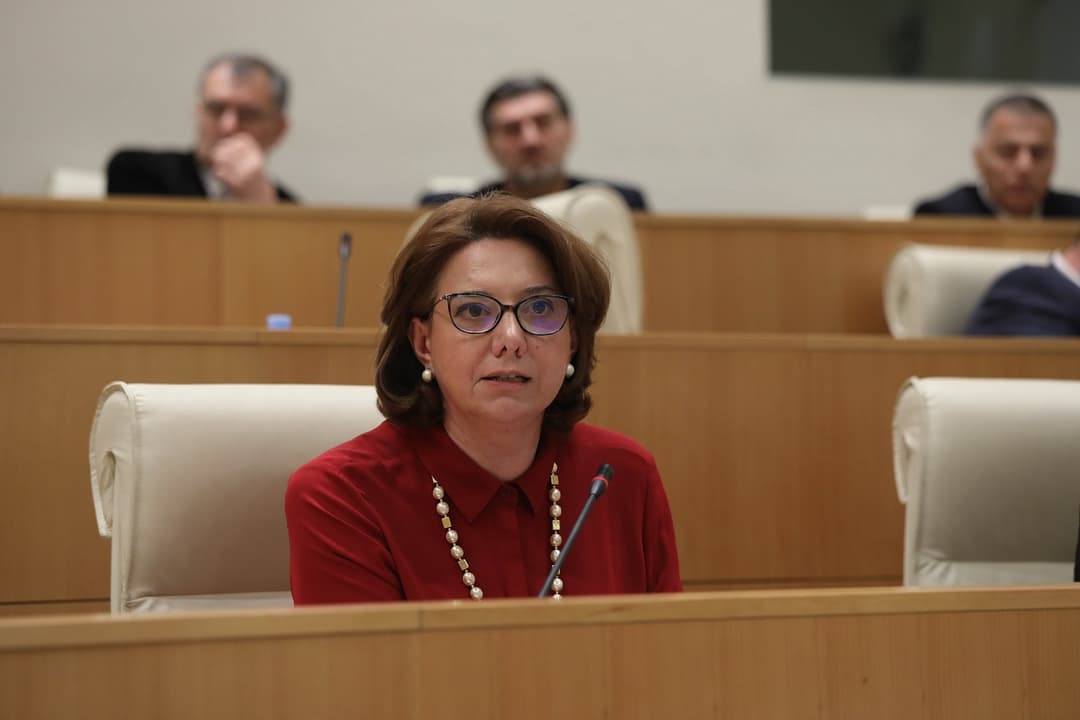 სალომე სამადაშვილი – მინისტრისგან მოვისმინეთ ანატომიური აღწერა კორუფციული სქემების ჩვენს ქვეყანაში