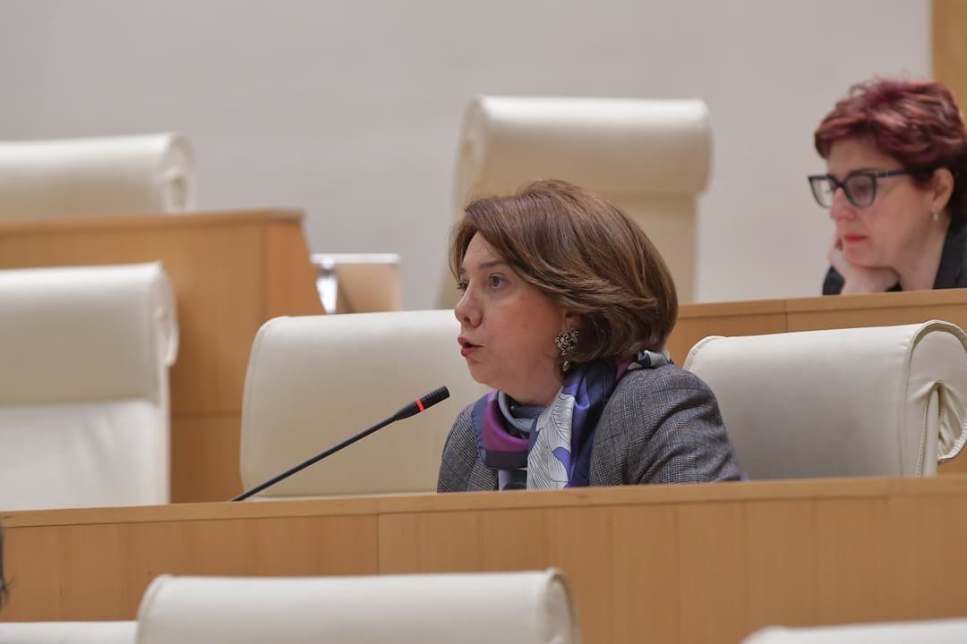 სალომე სამადაშვილი – თუ ასე გააგრძელებთ, ვერ მიიღებთ კანდიდატის სტატუსს და სწორედ ამ მიზნით მოიგონეთ “აგენტების კანონპროექტი”