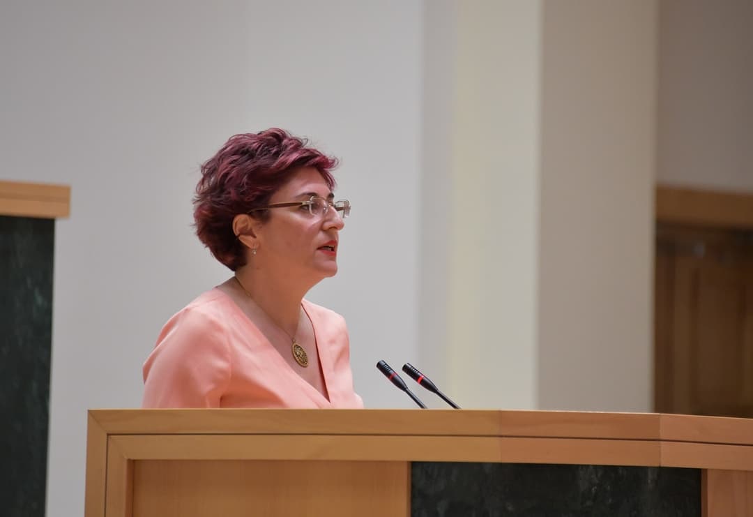 ხათუნა სამნიძე – ევროპული სტატუსი არის ამ ქვეყნის არჩევანი და ეკუთვნის ამ ქვეყანას და ეს არ არის მხარდაჭერა რომელიმე ხელისუფლებისთვის