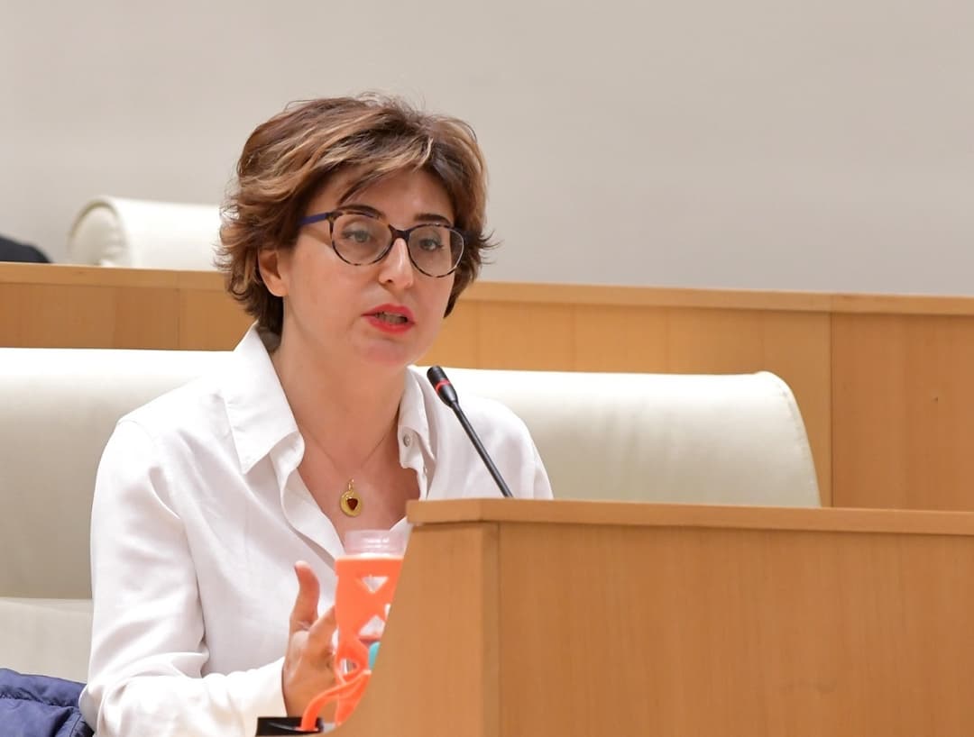 ხათუნა სამნიძე – ეს არის ღიად ანტისახელმწიფოებრივი ქმედება, გადავდგათ ქმედითი ნაბიჯები ამ პრობლემის წინააღმდეგ
