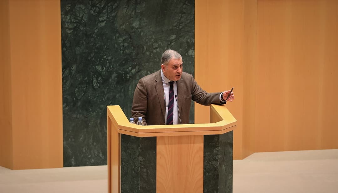 მიხეილ სარჯველაძე – პოლიცია არის უწყება, რომელიც დარაჯობს თითოეული ადამიანის თითოეულ უფლებას