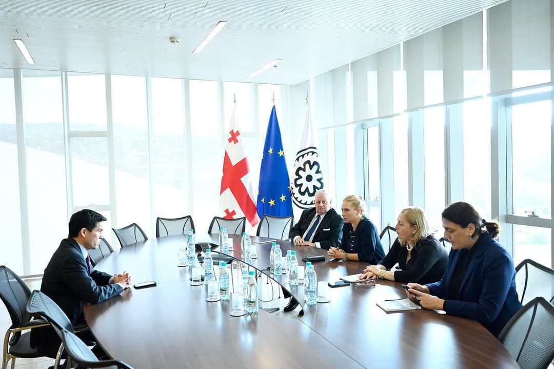 ნათია თურნავა – საქართველოს ეროვნულ ბანკი განსაკუთრებულ მნიშვნელობას ანიჭებს სსფ-თან თანამშრომლობას