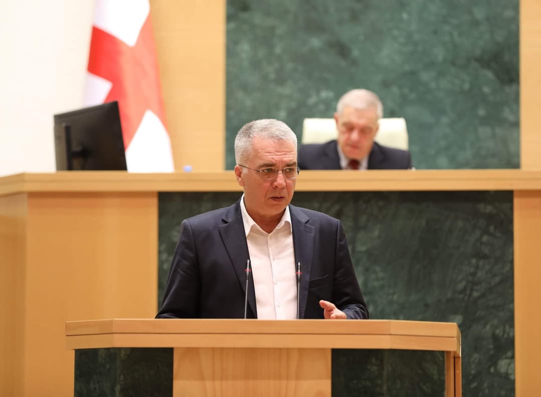 დავით სერგეენკო – რეალური გამოწვევები იქნება მანამ, სანამ არ იქნება ჯანდაცვის სისტემის სტაბილური დაფინანსება, რომელიც იწყება მთლიანი შიდა პროდუქტის 5 პროცენტიდან