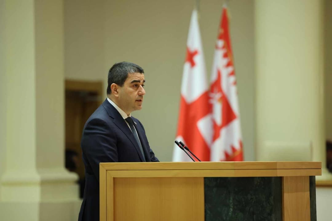 Georgia’s Parliament Speaker: donors, by promoting political extremism, normalize terror