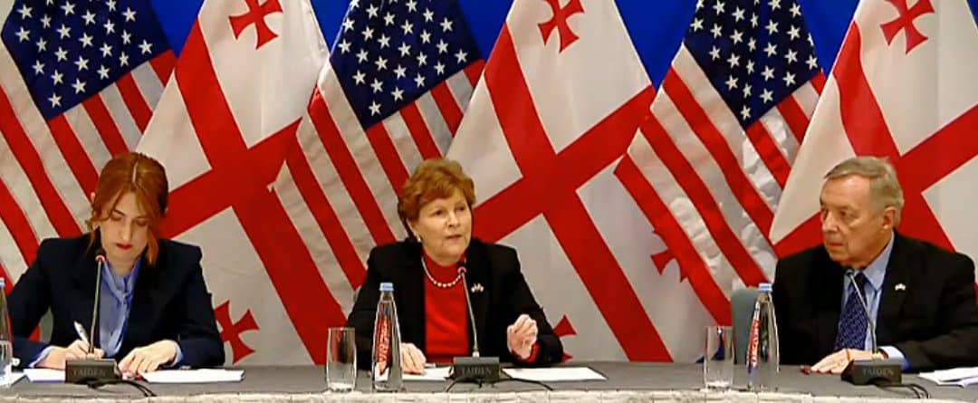 ჯინ შაჰინი – პრემიერ-მინისტრთან შეხვედრაზე ბიძინა ივანიშვილის საკითხი გაჟღერდა