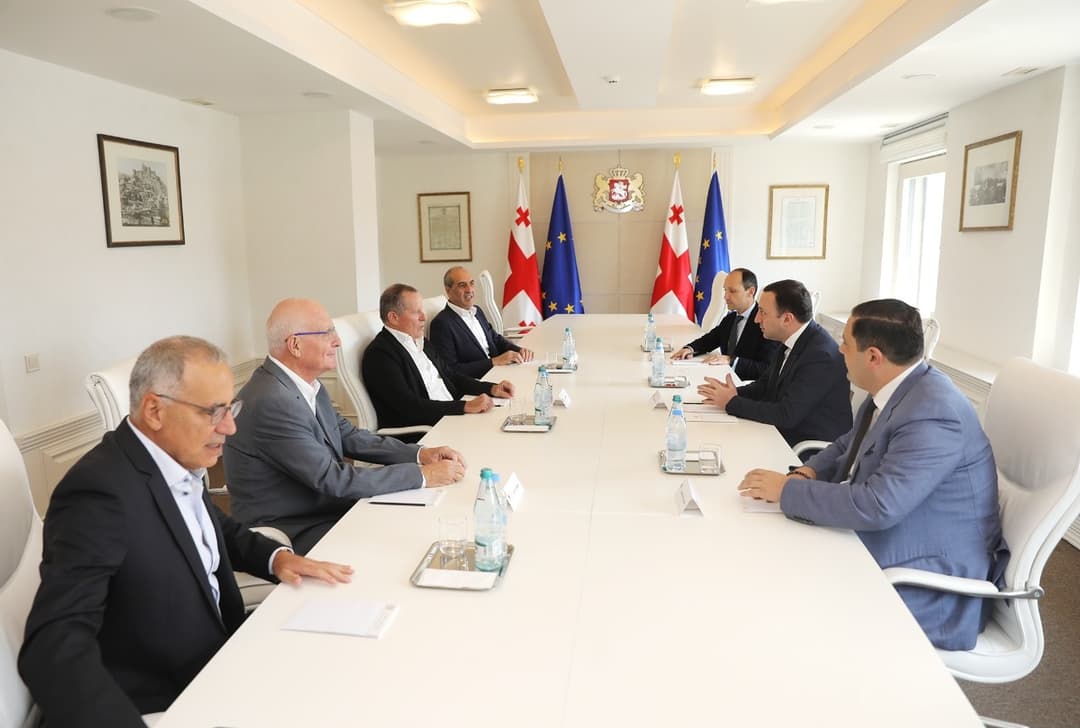 Georgian PM meets CEO of Israeli Shamir Holdings to discuss cooperation in energy,agriculture