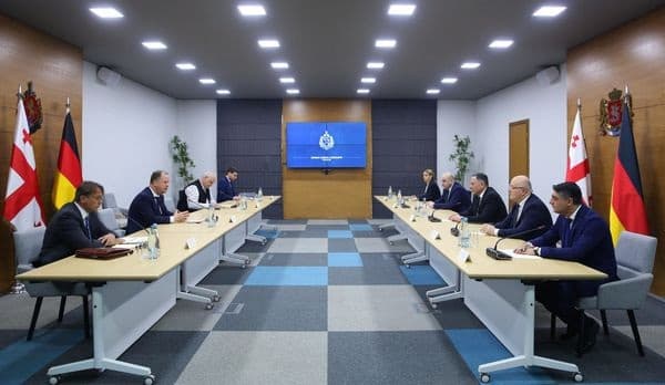 შს მინისტრმა მიგრაციის საკითხებში გერმანიის ფედერალური მთავრობის სპეციალურ რწმუნებულთან შეხვედრა გამართა