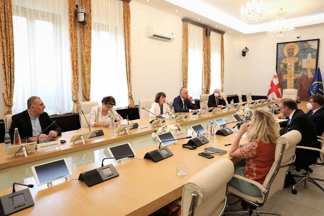 ევროპის საბჭოს საპარლამენტო ასამბლეის პრეზიდენტი საპარლამენტო ოპოზიციის წარმომადგენლებს შეხვდა
