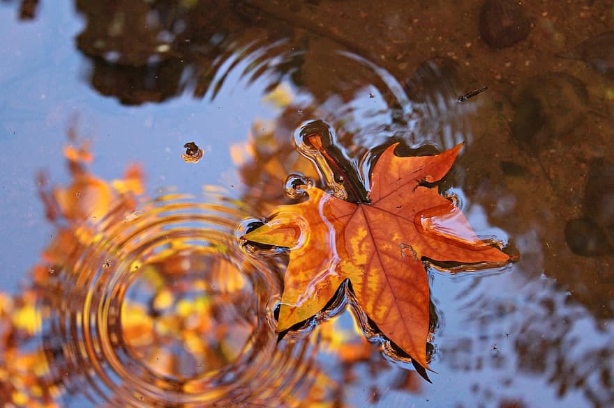 3 დეკემბრამდე მოსალოდნელი ამინდი საქართველოში