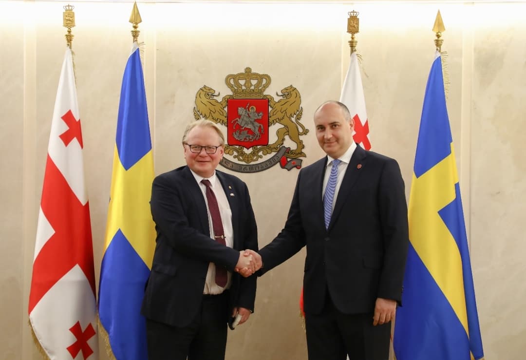 საქართველოს თავდაცვის მინისტრი შვედ კოლეგას შეხვდა