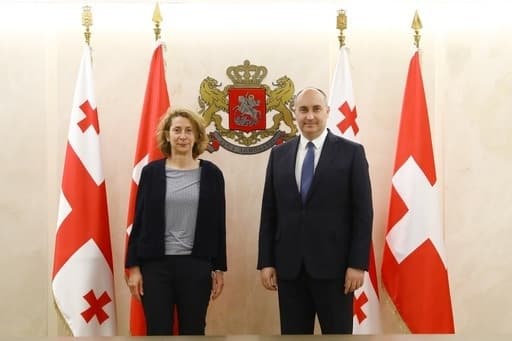 ჯუანშერ ბურჭულაძე შვეიცარიის ელჩს შეხვდა