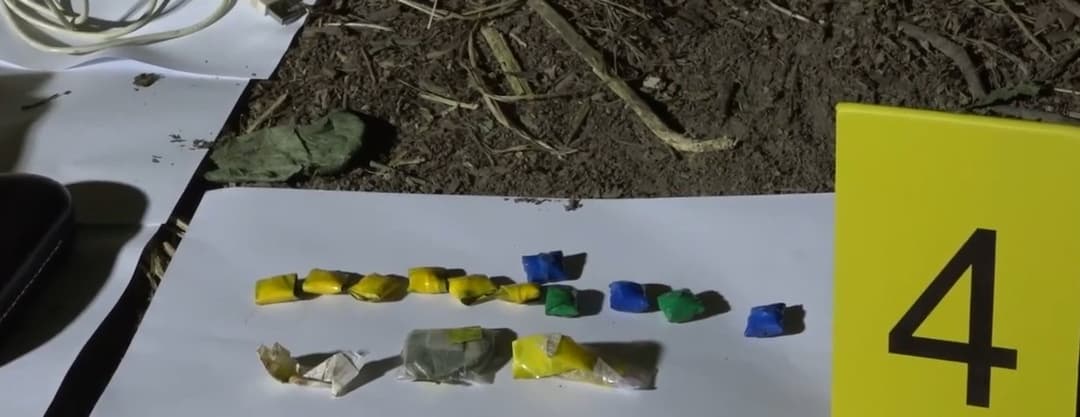 სასაზღვრო პოლიციამ საზღვრის უკანონოდ გადმოკვეთისა და ნარკოდანაშაულისთვის ორი პირი დააკავა