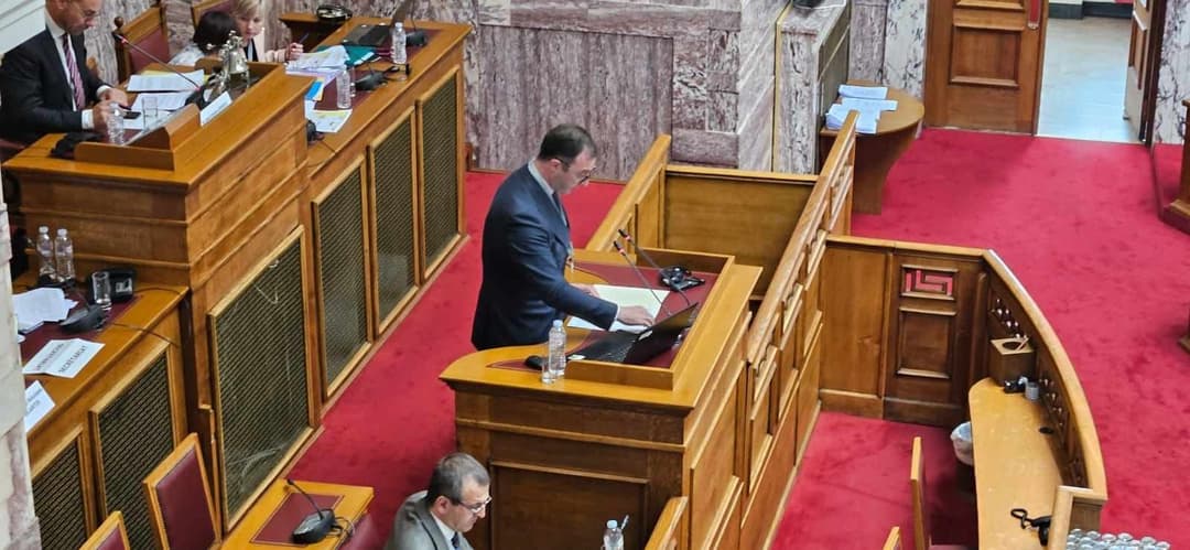 დავით სონღულაშვილი – დამსახურებული სტატუსის მისაღებად, ძალიან დიდი მოლოდინი გვაქვს