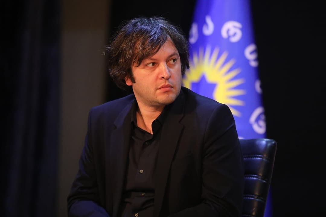 ირაკლი კობახიძე – სახალხო დამცველი აქციეს “ნაცმოძრაობის“ ერთ-ერთ რიგით აქტივისტად, არც ერთი ინსტიტუტის დათმობა არ შეიძლება “ნაციონალური მოძრაობისთვის“