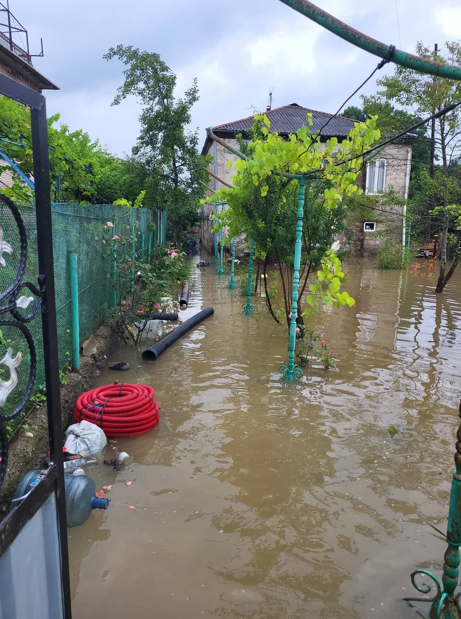 Frontnews image description