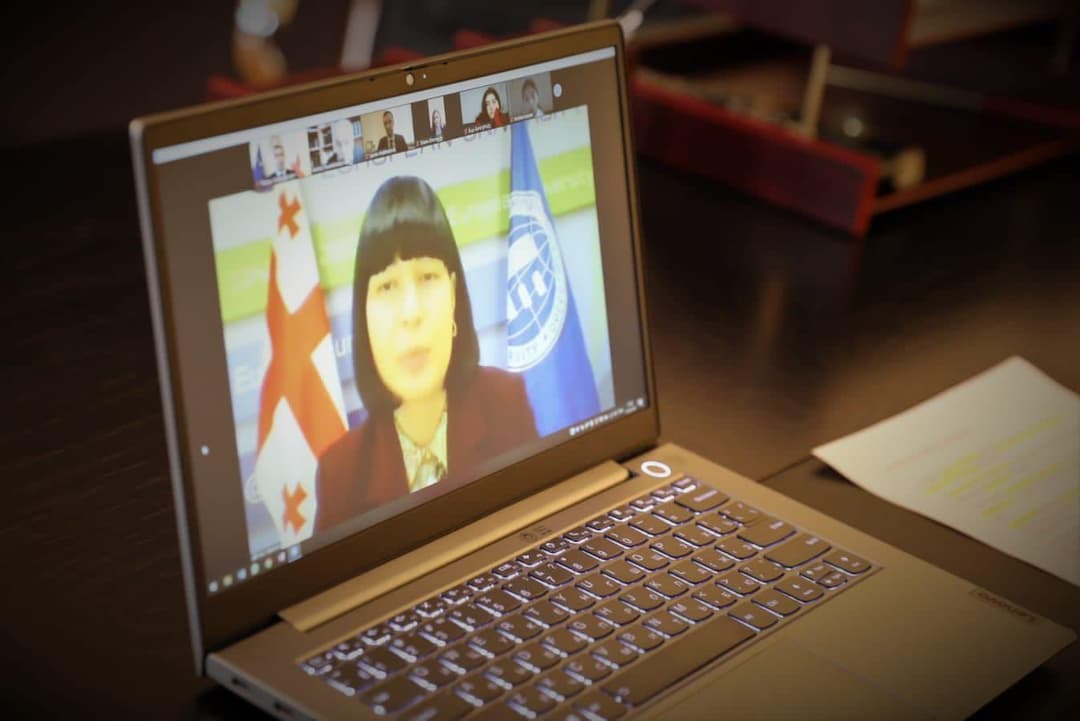 “ევროპის უნივერსიტეტში” ონლაინ ზამთრის სკოლის მეორე გამოშვების გახსნის ცერემონია გაიმართა