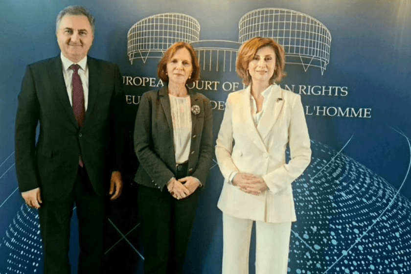 თამარ ტალიაშვილმა ადამიანის უფლებათა ევროპული სასამართლოს პრეზიდენტთან შეხვედრა გამართა