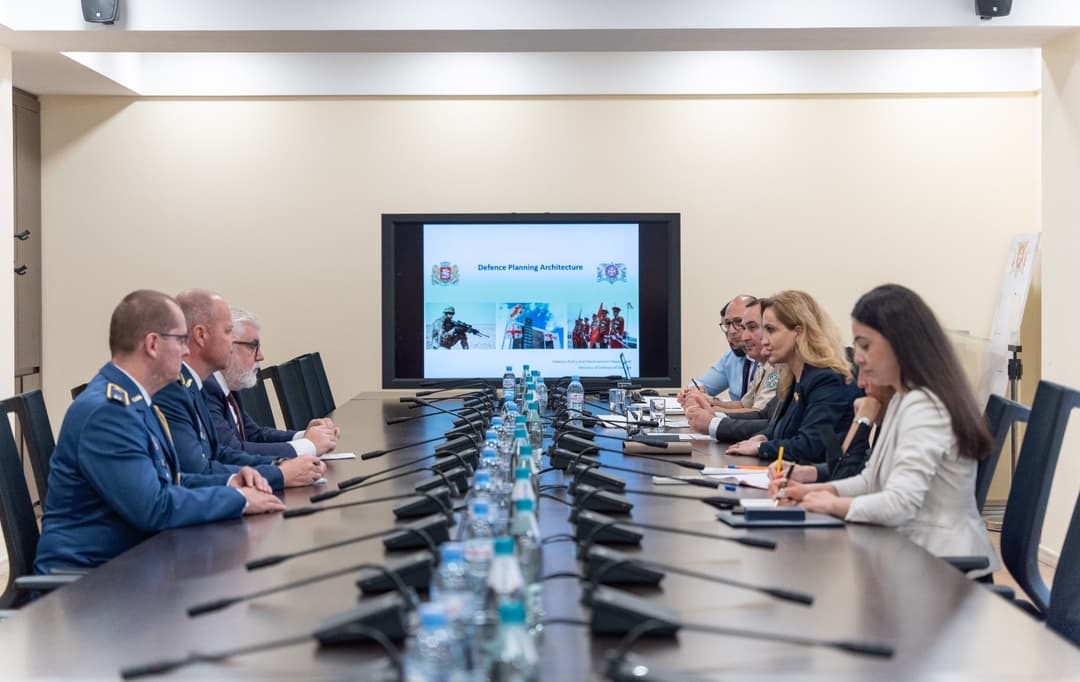 თავდაცვის მინისტრის პირველი მოადგილე სლოვაკ დიპლომატებს შეხვდა