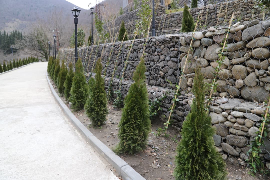 ძევრის რეკრეაციულ ზონაში კეთილმოწყობის სამუშაოები დასრულდა