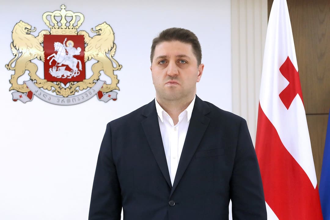 ადამიანის უფლებათა დაცვის საკითხებში პრემიერ-მინისტრის მრჩევლად ნიკო თათულაშვილი დაინიშნა