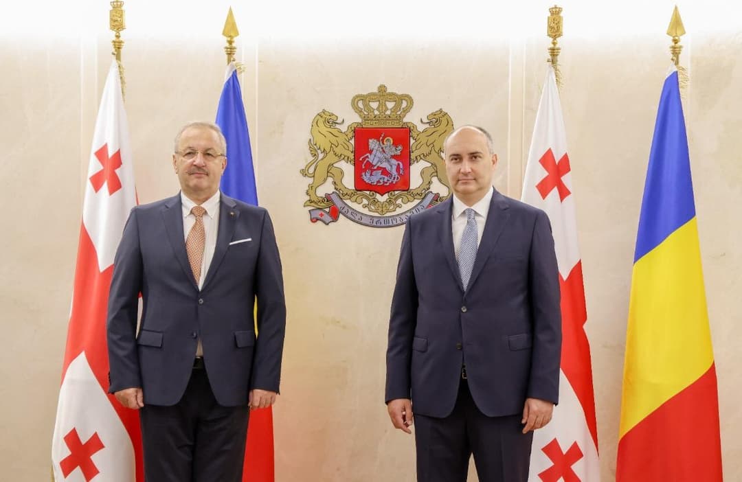 საქართველოს თავდაცვის მინისტრი რუმინელ კოლეგას შეხვდა