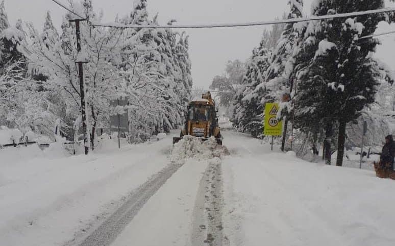 იმერეთის 11 მუნიციპალიტეტში თოვლმა პრობლემები შექმნა