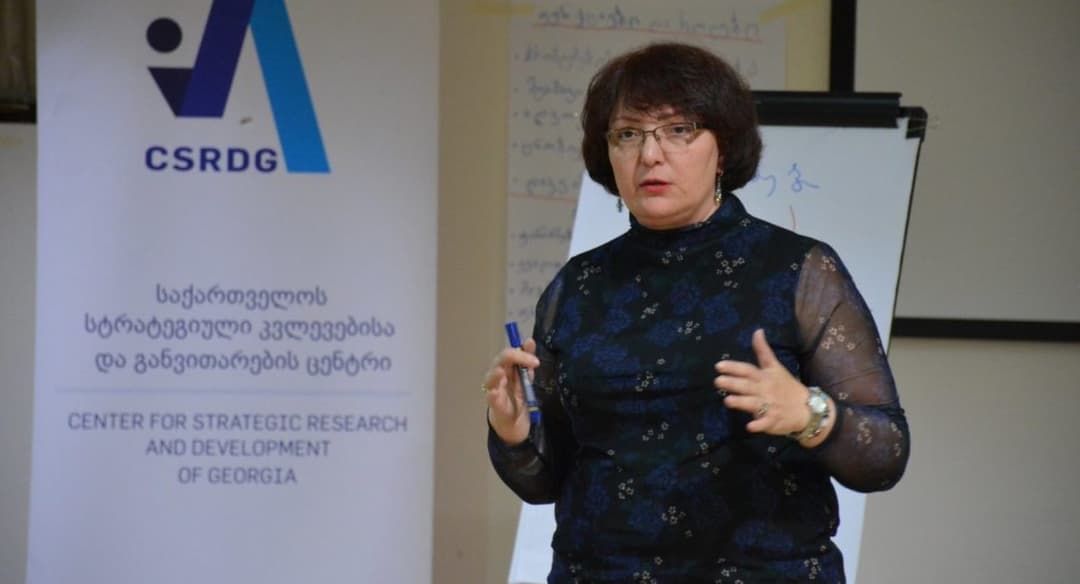 Ex-Defense Minister: Ruling team damaged Georgia’s reputation