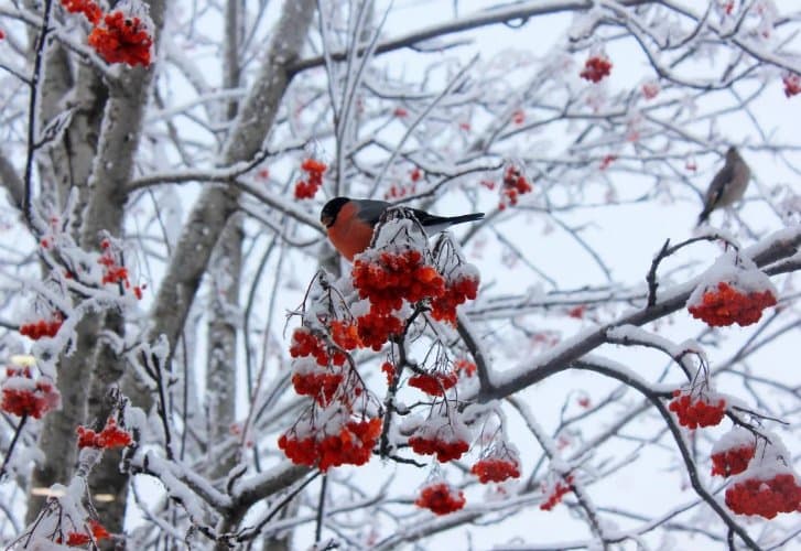 Frontnews image description